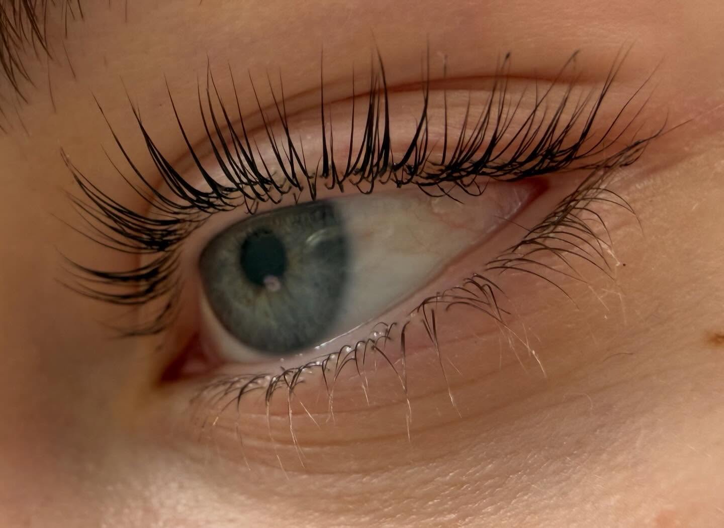Lashes